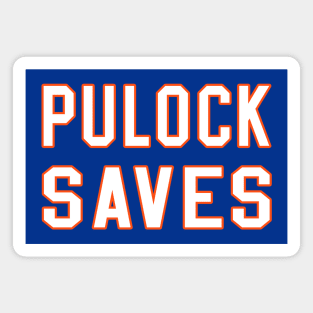 Pulock Saves Magnet